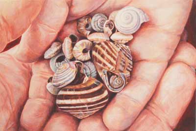 Treasure image